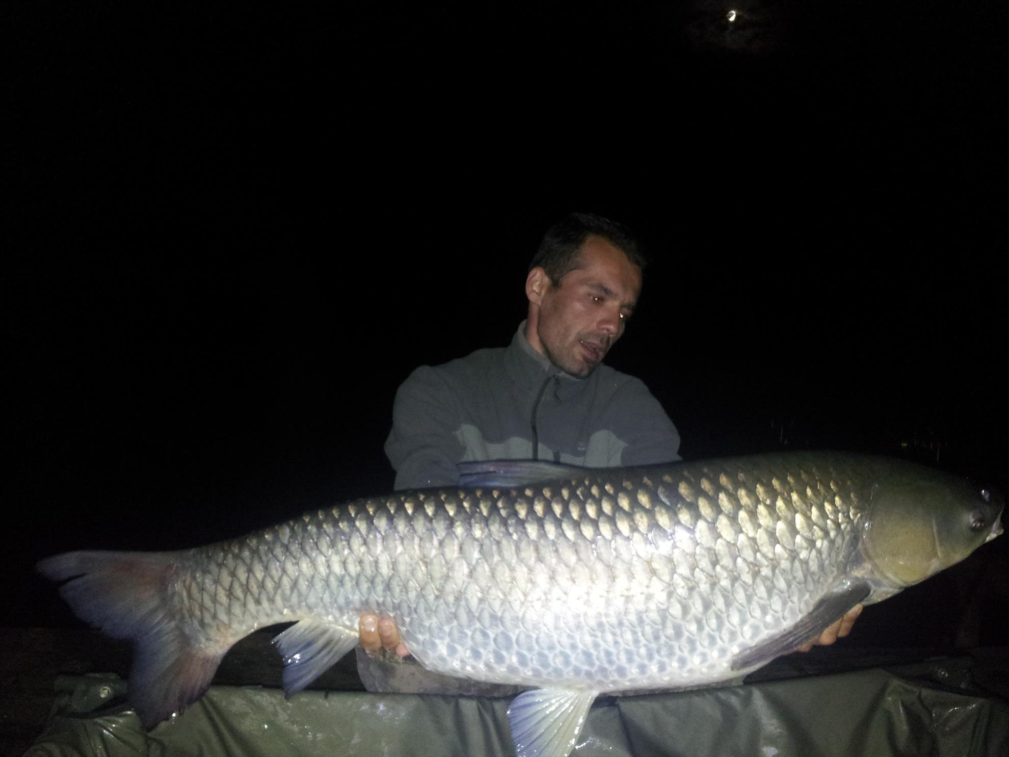 Tancabesti 31 august - 7 septembrie 2014 - 20140906004603.jpg